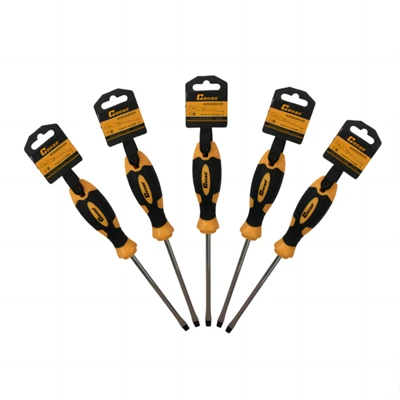 Torx Screwdriver